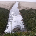 sewage spill flow report water pollution